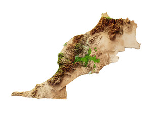 Topographic map of lebanon with textured brown terrain and green forested areas