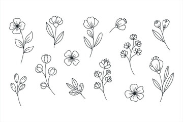 Delicate Botanical Line Art Collection