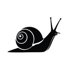 A striking black and white silhouette depicts a snail gracefully moving forward highlighting its spiral shell and delicate antennae © Bar