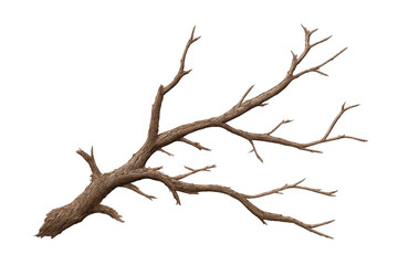 Fototapeta premium Dead tree branch with dry bark on a transparent background, representing nature, decay, and environmental concepts