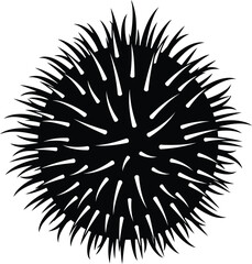 Obraz premium Black Silhouette of a Sea Urchin with Sharp Spines AI Generative