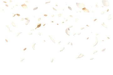 Falling white and gold petals creating a romantic wedding celebration, transparent background for overlay