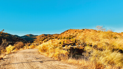 Dirt road in hilly landscape with trees and general vegetation in golden hour sunlight under a blue sky. Andalusia, Spain. © ysbrandcosijn