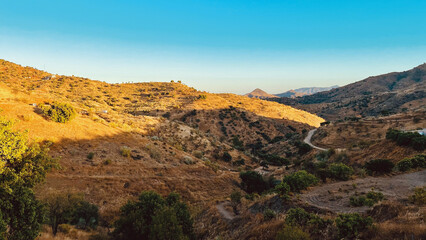 Hills with trees and general vegetation in golden hour sunlight under a blue sky. Andalusia, Spain. © ysbrandcosijn