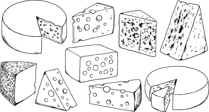 Hand drawn cheese illustration set with various cheese types, slices and blocks, sketch style food elements isolated on white background
