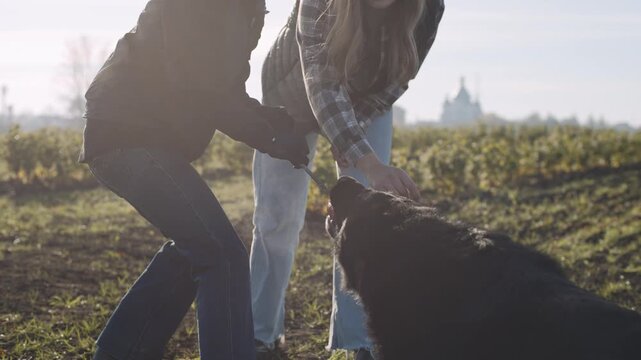 Dog and handler play tug of war in open field on sunny day