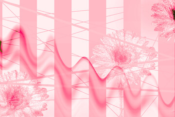 Soft abstract floral collage in pink tones with flowing shapes and gentle rhythm. Perfect for modern background design, social media posts, beauty branding, creative posters, lifestyle visuals