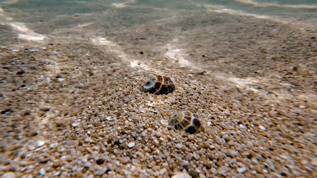 Crystal clear shallow ocean water gently washing over a textured pebble sand seabed with tiny shells scattered across the underwater surface under natural sunlight creating gentle ripples and subtle