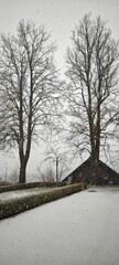 Obraz premium Schneeschauer in Ratzeburg Hochformat
