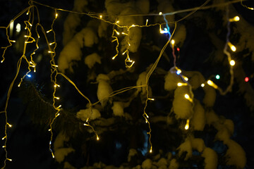 Warm glowing string lights are draped over snow-covered branches, creating a cozy winter atmosphere, perfect for holiday celebrations and festive gatherings