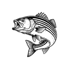 Dynamic black and white vector illustration of a Sea Bass jumping out of the water with an open mouth. Realistic marine life drawing for fishing and sport logos.