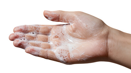 Fototapeta premium Hand Washing With Soapy Lather