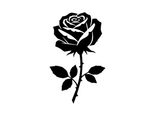 Black and white vector illustration roses flower