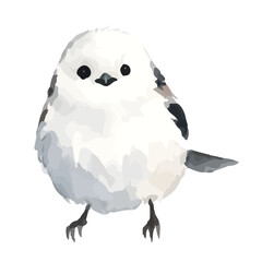 Watercolor-style long-tailed tit illustration／シマエナガ © 73