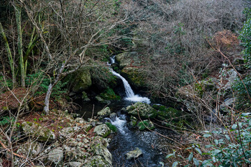 Fototapeta premium るり渓の鳴瀑