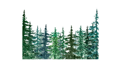 A serene forest landscape featuring tall pine trees against a white background as seen from a frontal viewpoint, 42.png