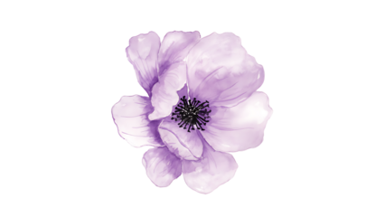 flower painting watercolor