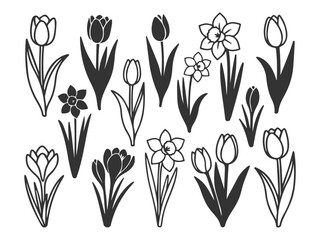 vector illustration of spring flower collection