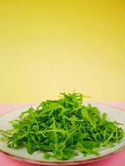 Fresh arugula arranged on a plate against a bright background shown as a step-by step healthy salad recipe element. Pro photo