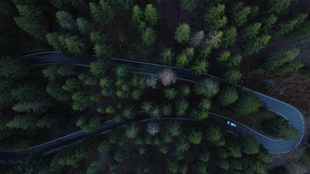 Top view of a hairpin curve in Oasi Zegna, Biella, Piedmont, Italy