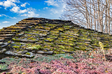 Moss-covered stone roof with colorful succulents on a traditional rural house under clear blue winter sky