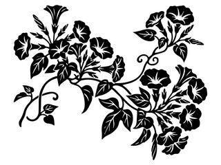 Black and white vector illustration of  trumpet flowers in full bloom 