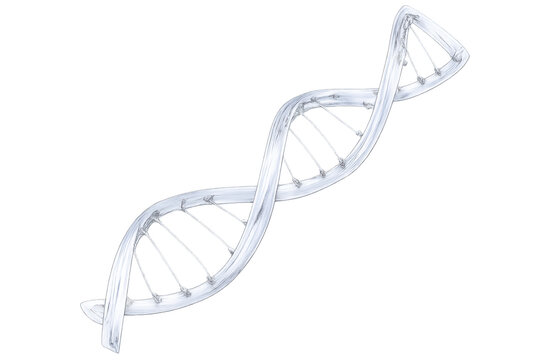 Dna double helix illustrating genetics, biological research, medicine, and scientific concepts. Transparent background