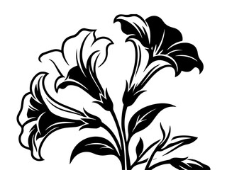 Black and white vector illustration of  trumpet flowers in full bloom 