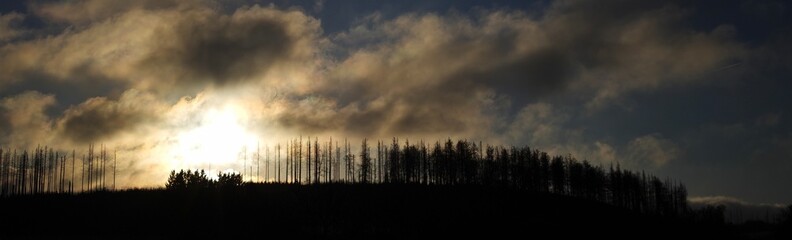 sunset over the city