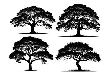 Abstract monochrome trees, stylized forms, clean white background.