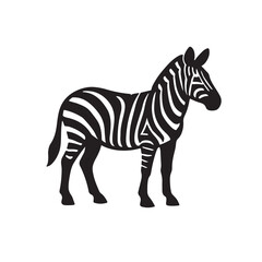 Obraz premium Zebra – Black and White Striped African Wild Animal Illustration