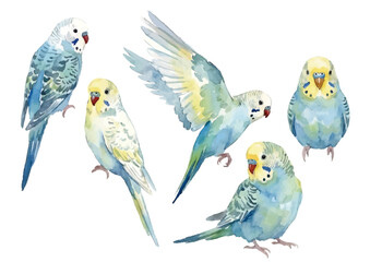 Naklejka premium Watercolor-style parrot illustration／インコ