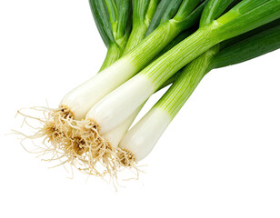 Fresh bunch of green onions with roots and white stalks isolated on black background