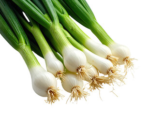 Fresh bunch of green onions with white bulbs and green stalks. Isolated on black