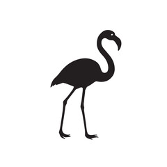 American Flamingo &ndash; Pink Tropical Wading Bird 