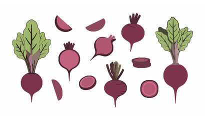 Minimal beetroot vegetable vector set with whole and sliced beets isolated on white background