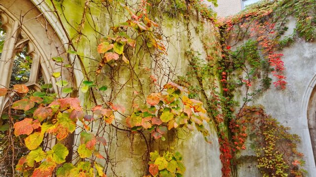 Cinematic shot of the ruined church of  St. Dunstan in the East, London, England, UK destroyed by German bombs during WW II