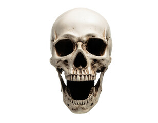 Obraz premium Human skull with open jaw and empty eye sockets against white background