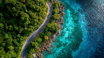Aerial coastal highway winding along emerald forest shoreline and turquoise ocean