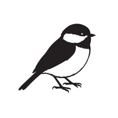 Black-Capped Chickadee &ndash; Small North American Songbird