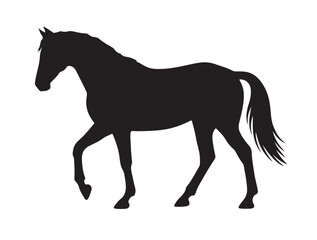 Horse in silhouette white background۔
