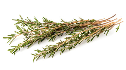 Fresh rosemary sprigs isolated on white background, aromatic culinary herb for cooking and seasoning