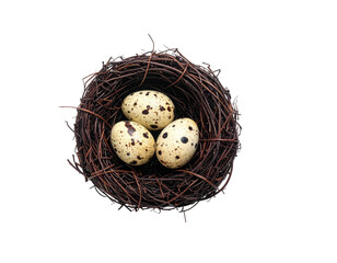 Fototapeta premium Three speckled eggs rest inside a rustic woven nest on a solid black background
