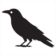 Fototapeta premium Crow Vector 