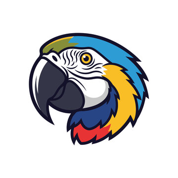 Colorful Cartoon Parrot Head Illustration.