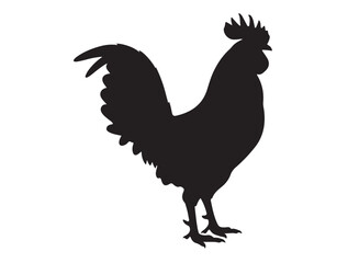 Rooster in silhouette white background. © Sundas