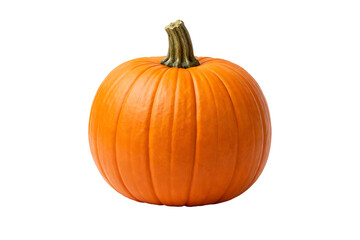 Obraz premium Fresh Orange Pumpkin Isolated
