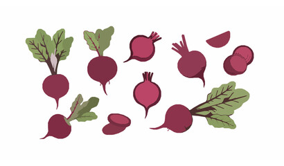 Flat cartoon spinach leaves and seedlings vector collection for growing kit and healthy food concept