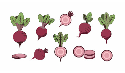 Fresh green spinach leaves flat vector set for healthy food and growing kit concept isolated on white