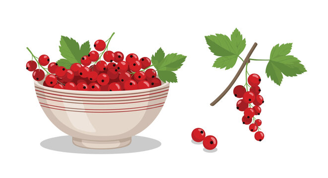 White bowl filled with ripe red currants alongside a single branch of berries with green leaves, suitable for summer fruit and healthy eating ideas.